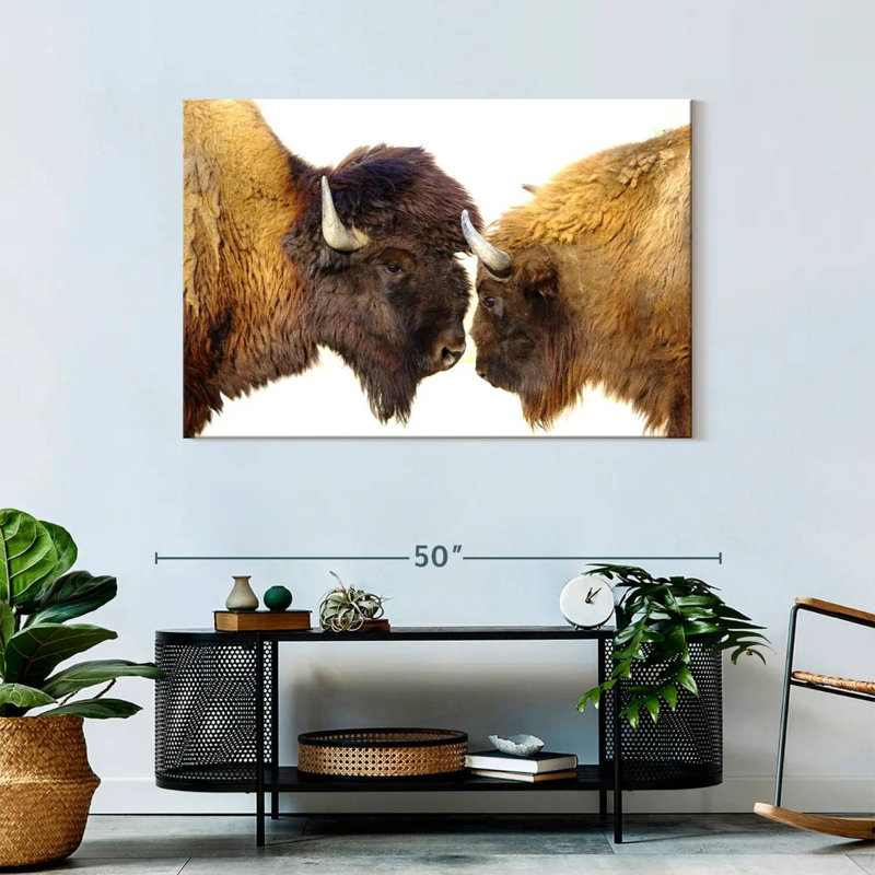 Brampt Bisons I, 30" H x 45" W