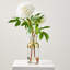 Peony Floral Arrangements in Vase