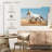Brampt Appaloosa Desert Horse-108159336