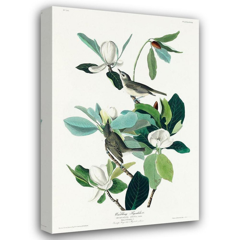 «World Menagerie Audubon, John James Gallery», art sur toile tendue: mouchoir