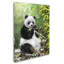 Armand «Panda», reproduction sur toile-21645902