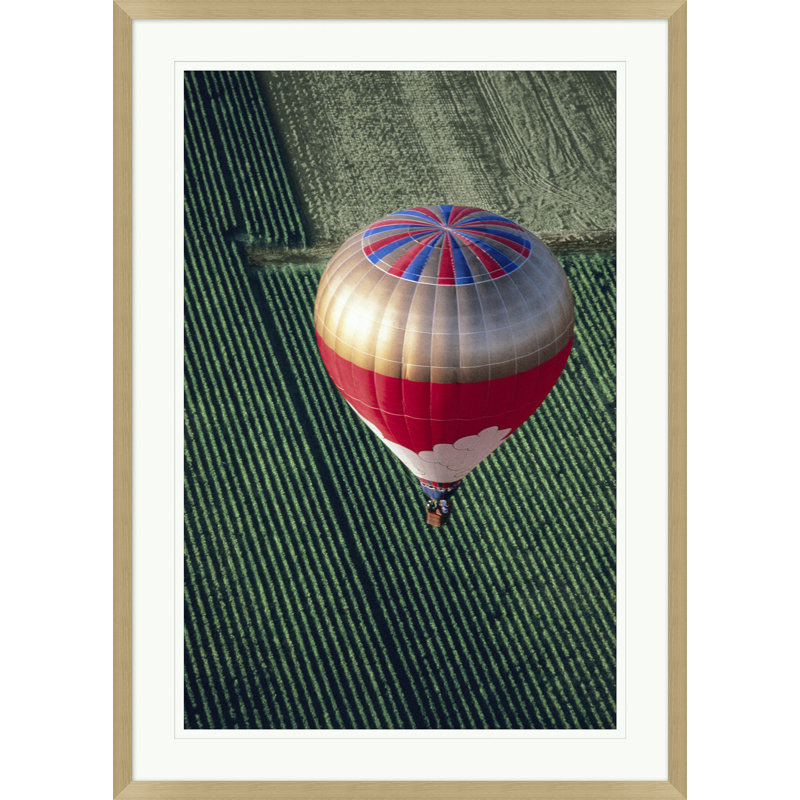 Balloon Over Vineyard 2 Print by Nathan Turner
