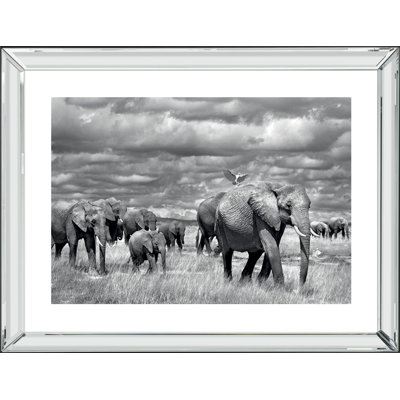 Single Picture Frame Print