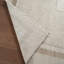 Jaipur Living Astine SEV01 Handknotted Medallion Beige and Tan Area Rug (8'x10')-309471657