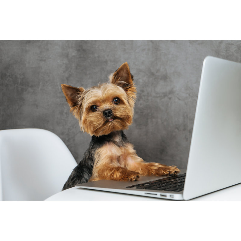 Dog At Computer Laptop Yorkshire Terrier by Pixelliebe - Wrapped Canvas Print, 30cm H x 46cm W x 3.8cm D