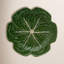 Set of 4 Cabbage Earthenware Dinner Plates