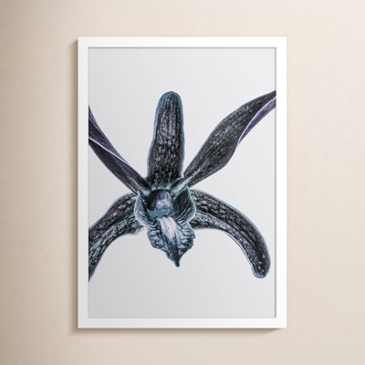 Parkerfield "Orchid" Print by Shot by Clint