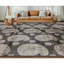 Silk Paisley Area Rug