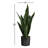 22" H Faux Snake Plant in Pot-819046655-819046640
