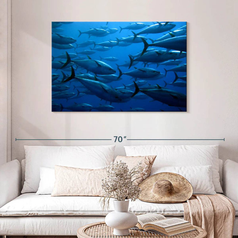 Brampt School Of Tuna Fish