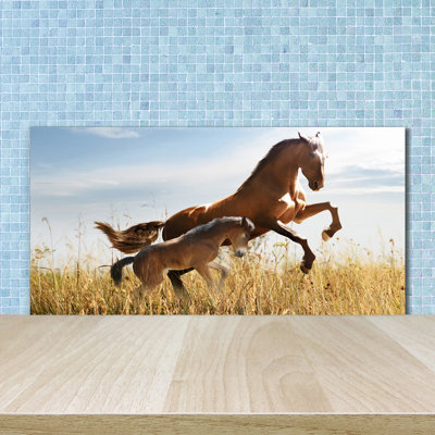 Mirakel 50cm W x 100cm L Glass Peel and Stick Panel