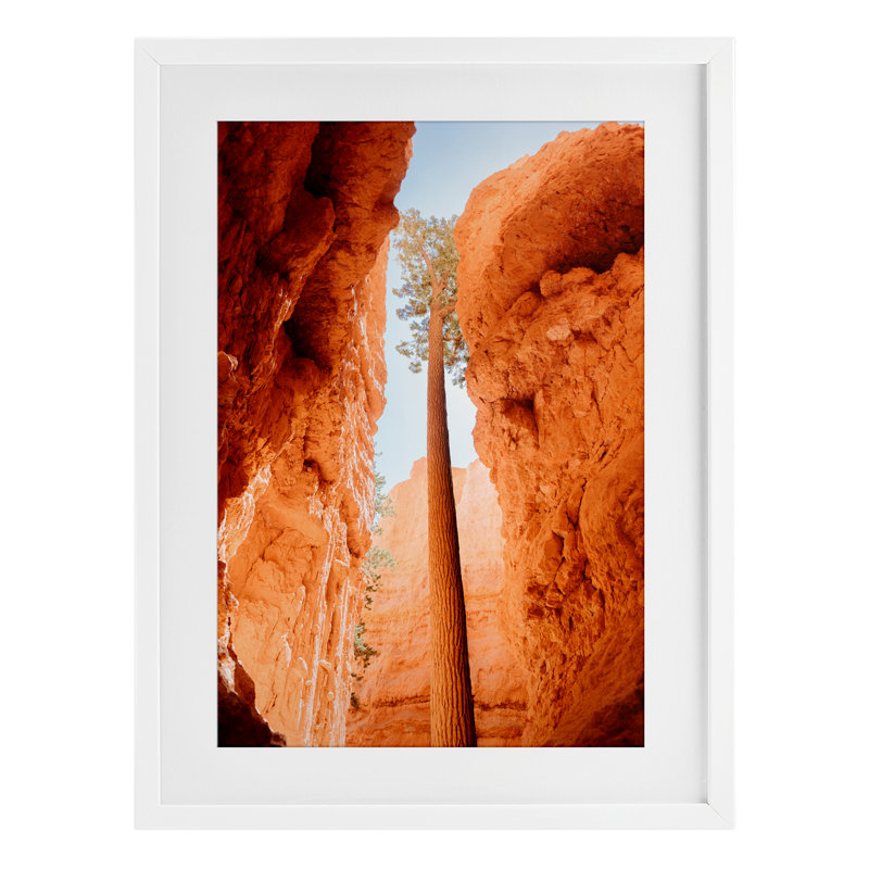 «Bryce Canyon Looming Cliff», reproduction encadrée sous verre, conception de Jade Sharp Photo, H 23 po x l 17 po
