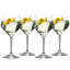 Riedel Gin Tonic Set  (4er Set)