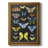 " Graphic Butterfly Taxonomy II " Painting Print-1451091983