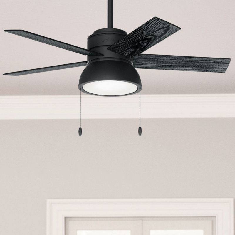 Ventilateur de plafond standard à 5 pales de 44 po avec lumières et chaînes de traction Lilliput, Noir avec pales noires