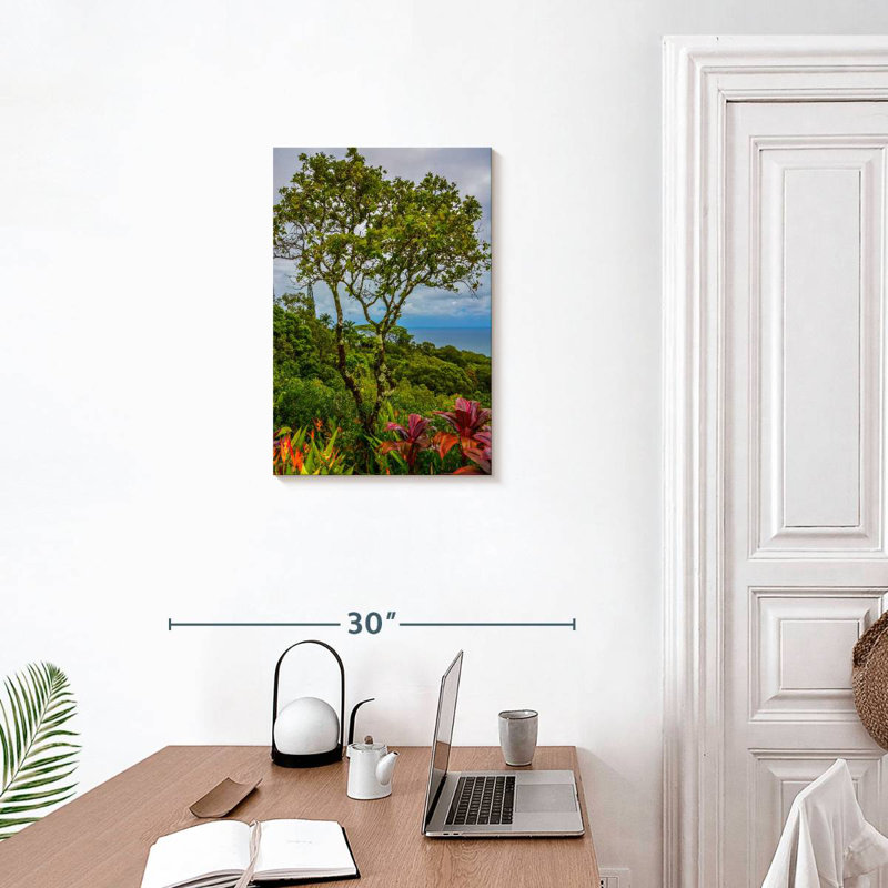 Harnek, Hawaï, arbres tropicaux, H 24 po x l 16 po