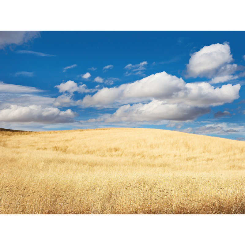 Palouse Autumn Field Print by Bruce Heinemann, Black Framed Canvas, 25" H x 33" W