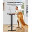 Poste de travail électrique 71 po x 30 po, grand bureau assis-debout avec réglages de mémoire, bureau d'ordinateur pour bureau à domicile, noir ou gris, livré dans une boîte-794159725