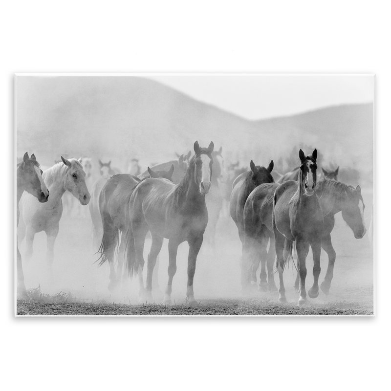 Art mural, "Courir cheval" par Kim Allen, H 13 po x l 19 po