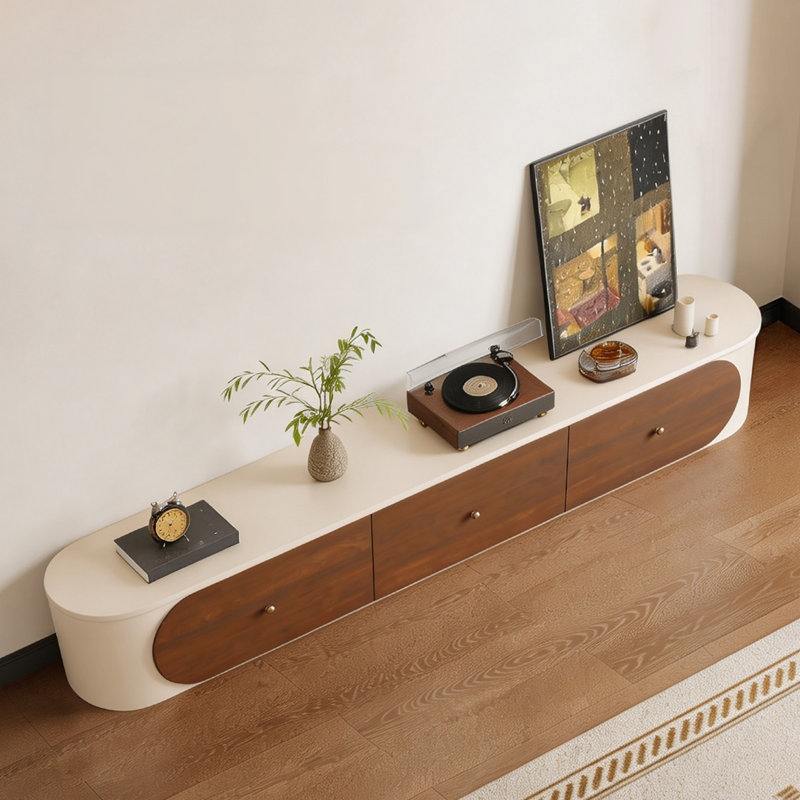 Modern Minimalist TV Stand
