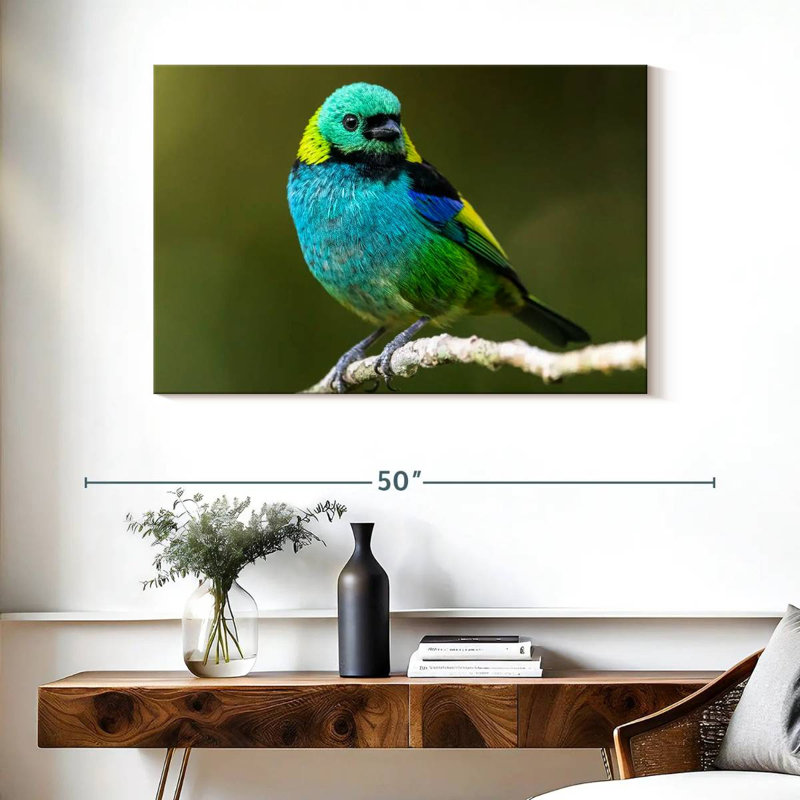Brampt Green Headed Tanager, 26" H x 39" W