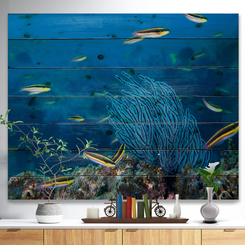 « gorgonia corail on the deep blue ocean », photo, H 36 po x l 46 po x P 1,5 po, Bois