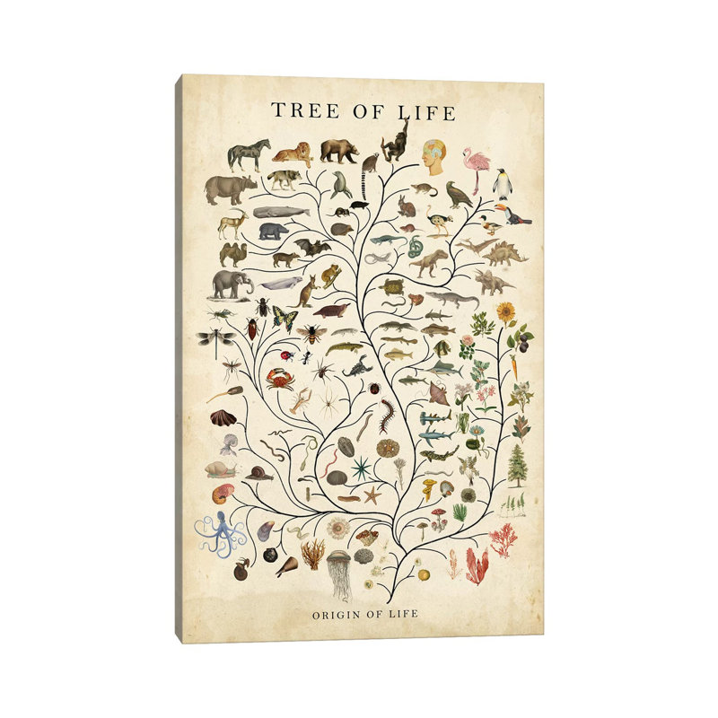 Tree Of Life by Studio W - Wrapped Canvas Print, 101.6 cm H x 66.04 cm W x 3.175 cm D