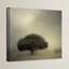 «Room to Grow» par Mark Ross - reproduction de photo sur toile tendue-15479853