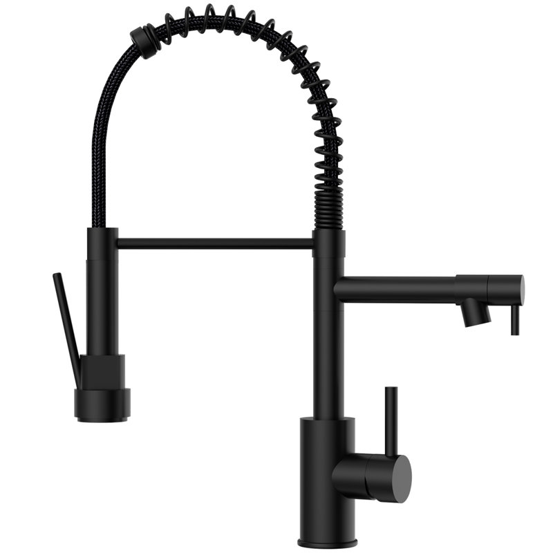 Pull-Out Kitchen Faucet, Matte Black