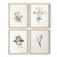 «Vintage Floral Print», impression encadrée CLxxvi - ensemble de 4-984176392-984176397