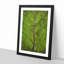 Leaf Lines - Framed Print-56852663-56852667