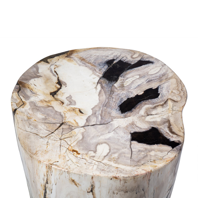 Table de bout Fossil Relics