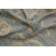 Tapis bleu à motif végétal Ziegler 8x8