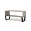 Errik Solid Wood Industrial Design Coffee Table with Storage Shelf-1706706674