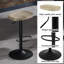 Patriana Adjustable Height Counter Stool with Metal Frame-462339441