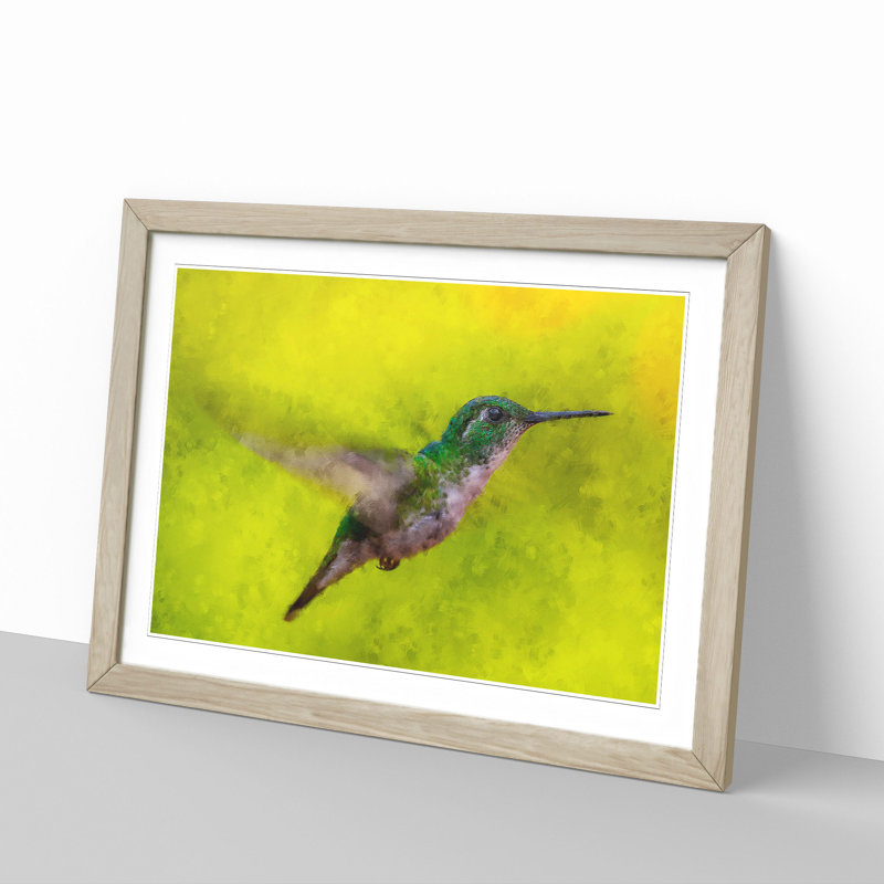 Hummingbird in Costa Rica - Picture Frame Painting Print, 62cm H x 87cm W x 2cm D, Oak Framed
