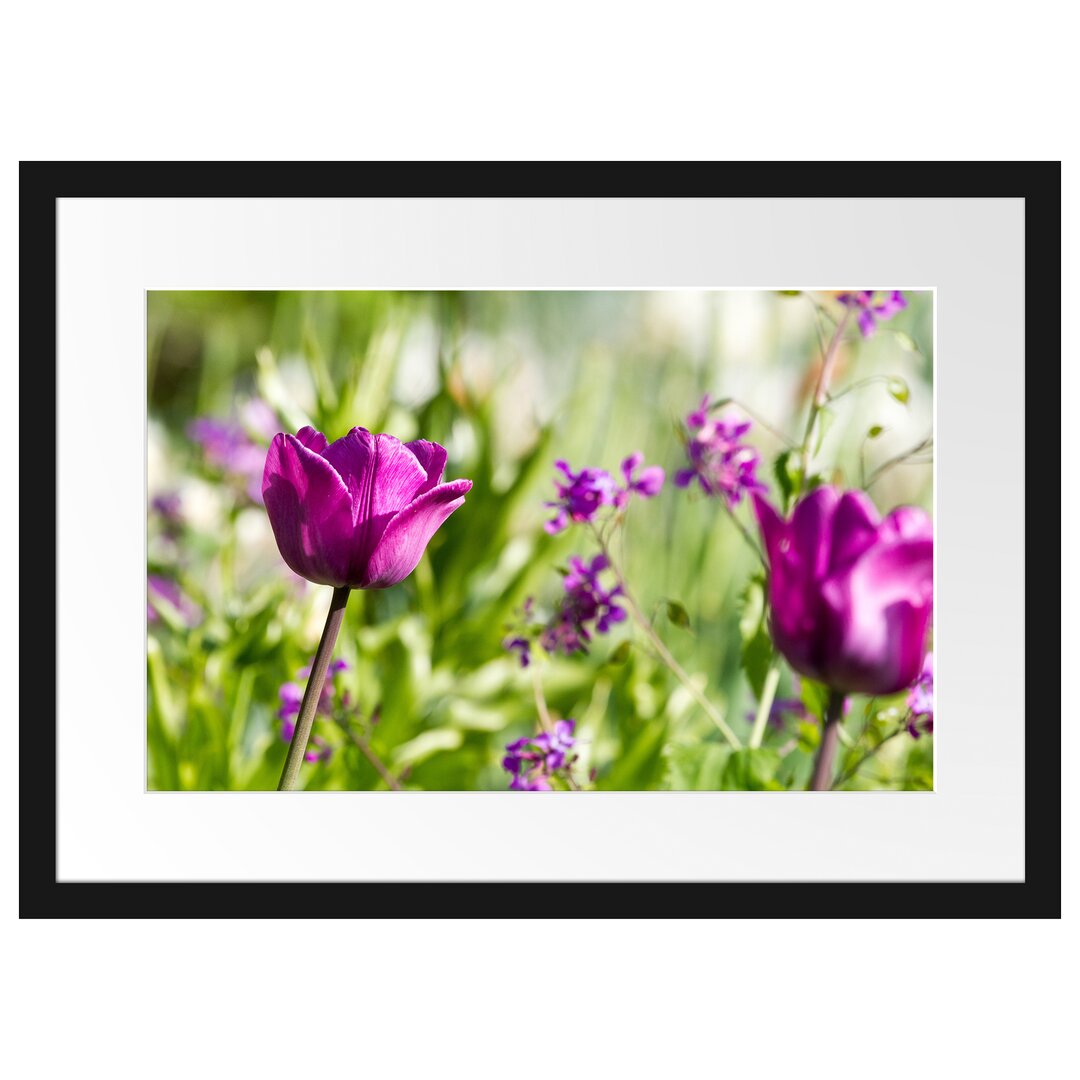 Gerahmtes Poster Blumen im Sonnenschein