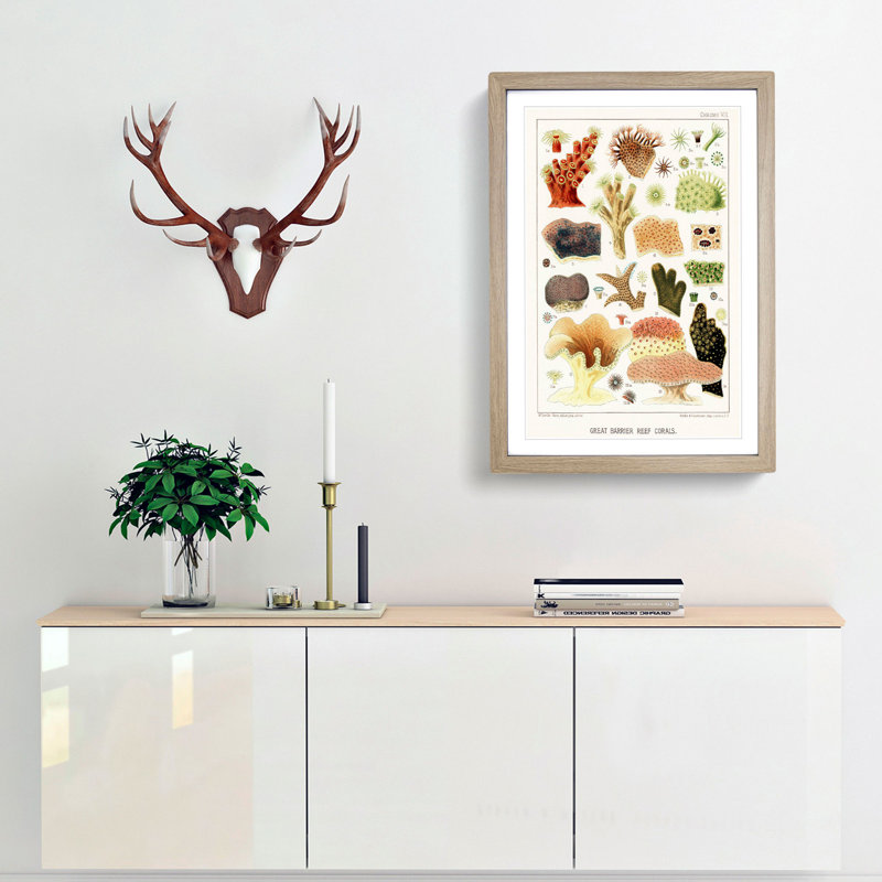 Great Barrier Reef Corals VIII by W. Saville-Kent - Picture Frame Painting Print, 48cm H x 36cm W x 2cm D, Oak Framed