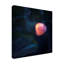 Glow In Dark par Catherine W.-1675504047