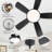 Damecia 42'' 5 Blade Modern Ceiling Fan With Light and Remote Control-408388936