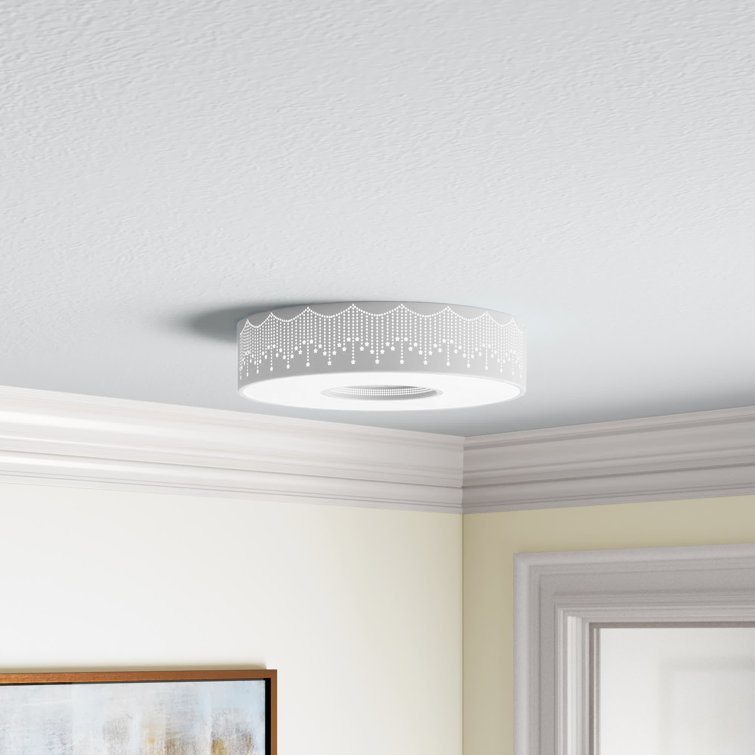 Joss & Main Romilda Flush Mount & Reviews