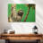 Clinging Sloth-107922462