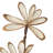 0.5'' Plant