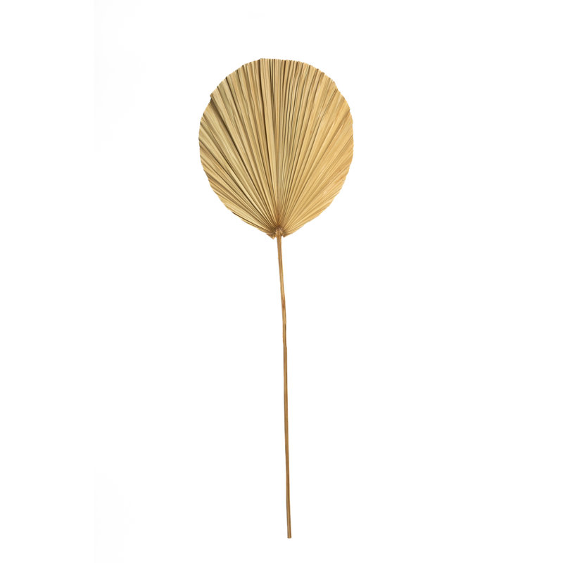 Wall Decor on Rattan