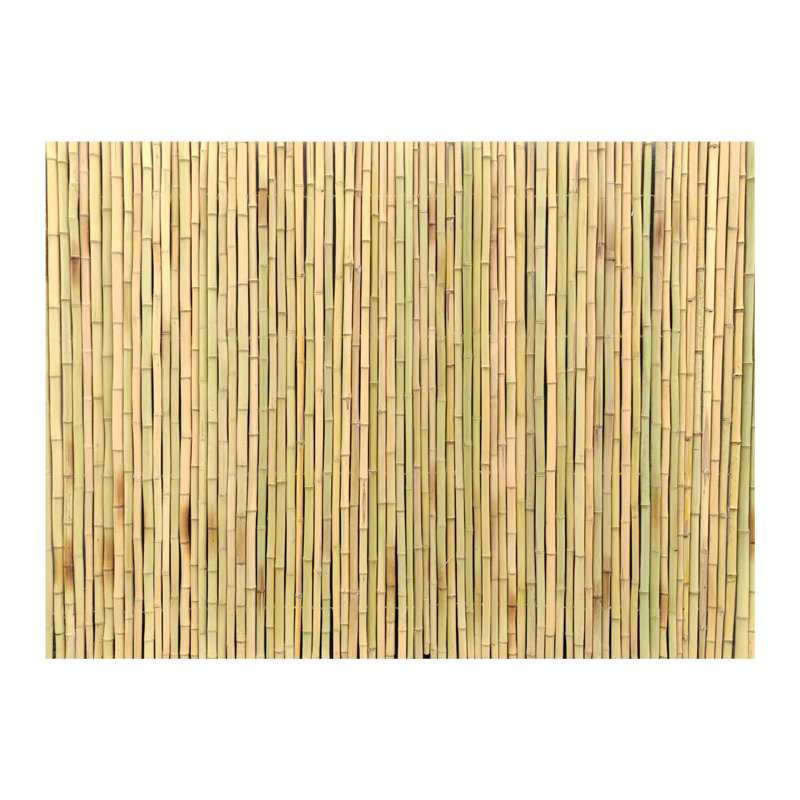 Panneau de clôture en bambou blanc naturel, clôture d'intimité pour le jardin, le patio et la cour, Blanc naturel