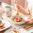 Porcelain China Ceramic Dinnerware Set 20 Piece - Service for 4