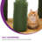 ?60In Cactus Cat Tree, Multi-Level Tall Cat Tower For Indoor Cats, Large Cat Condo For 2-3 Cats