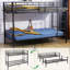 Zebedee European Single (90 x 200cm) Standard Bunk Bed