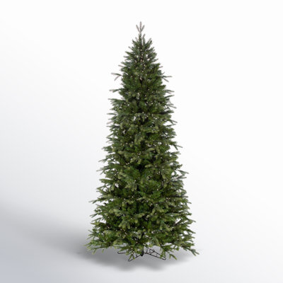 Vickerman Slim 14' Pre-Lit Fir Christmas Tree