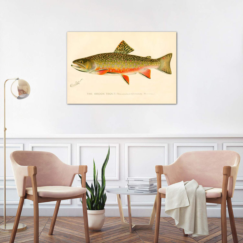 The Brook Trout - impression d'art graphique, Toile tendue, H 26 po x l 40 po x 1,5 po